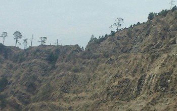 कैलालीको भासु भीरमा जिप दुर्घटना : २ जनाको मृत्यु 